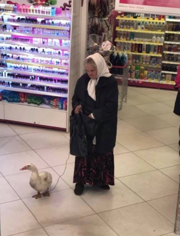 Weird Situations (49 pics)