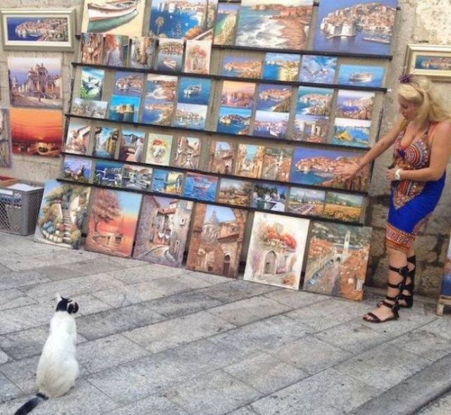 Weird Situations (49 pics)