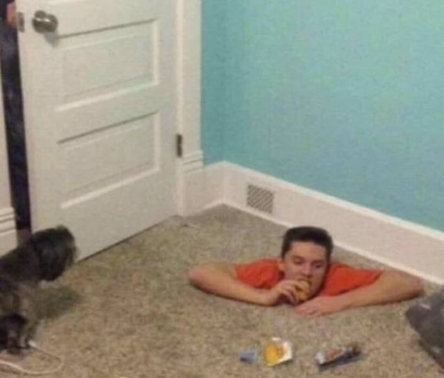 Weird Situations (49 pics)