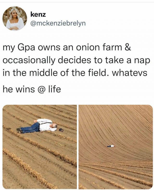 Life Is Beautiful (48 pics)