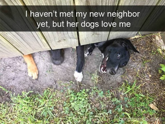 Life Is Beautiful (48 pics)