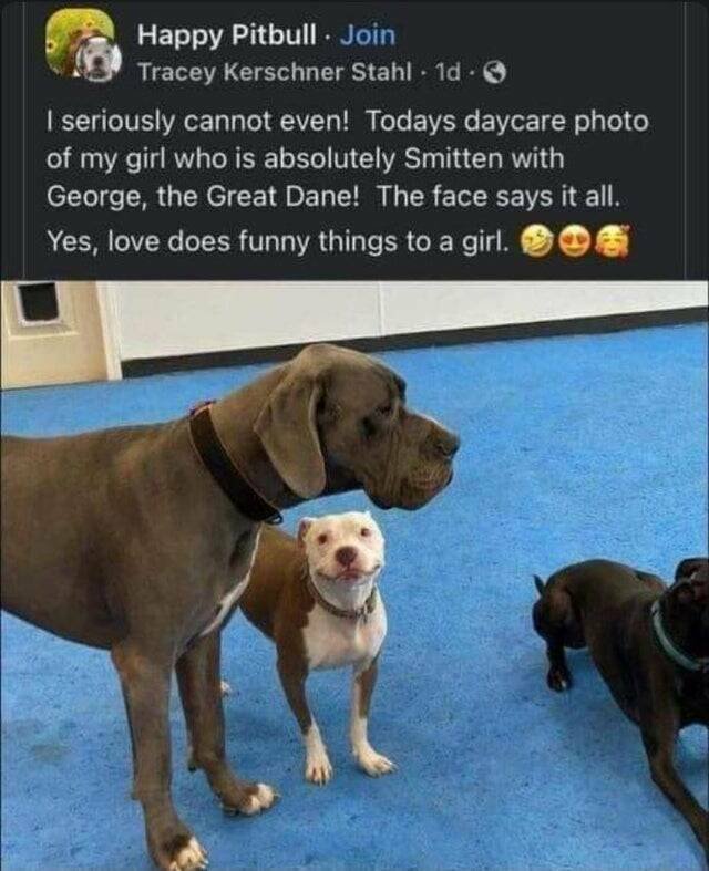 Life Is Beautiful (48 pics)