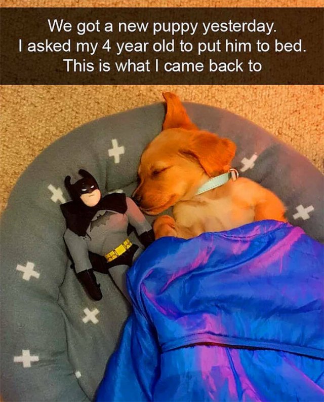 Life Is Beautiful (48 pics)