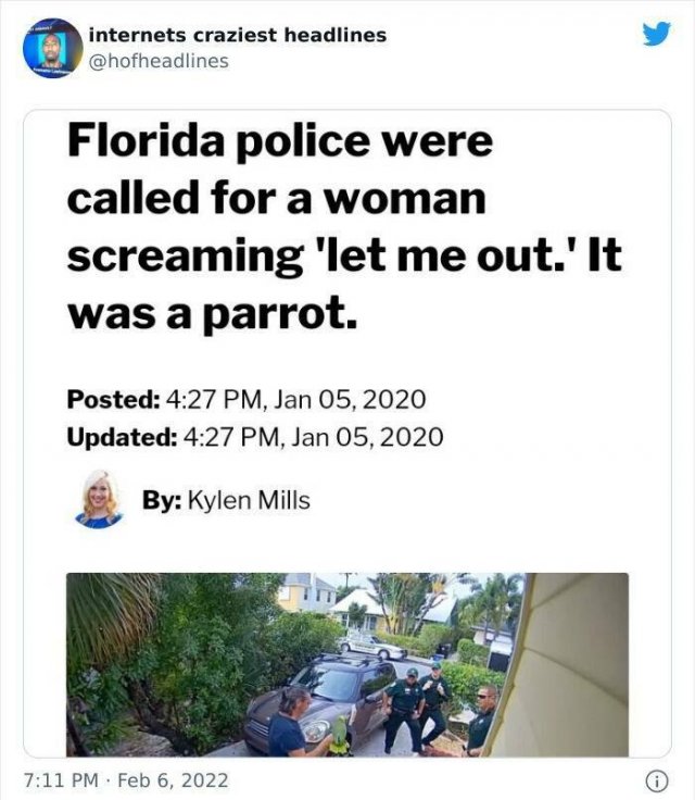 Funny Headlines (39 pics)