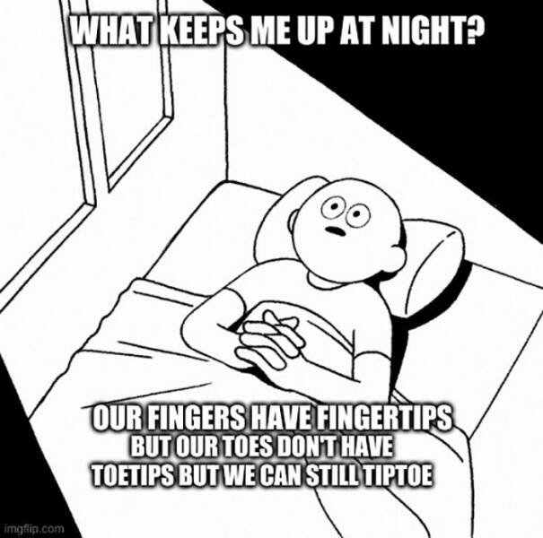 Random Memes (29 pics)
