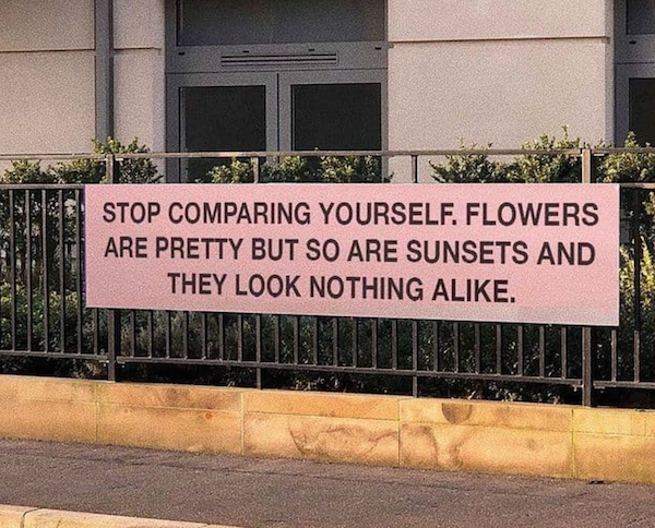Wise Thoughts (24 pics)
