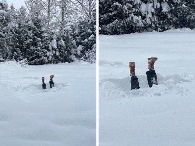 Funny People (15 pics)