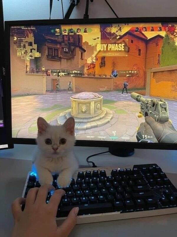 Pictures For Gamers (61 pics)