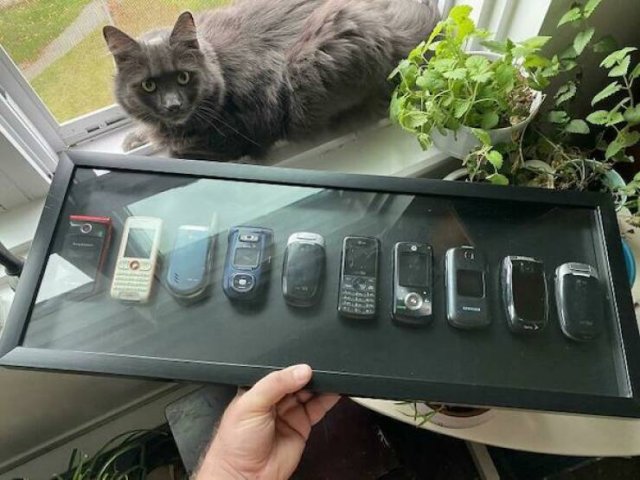 Unusual Compares (25 pics)