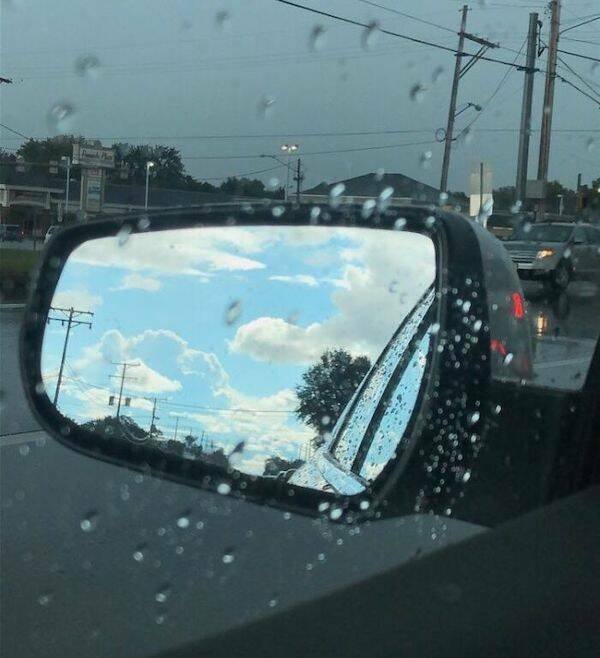 Unusual Compares (25 pics)