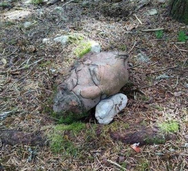 Terrible Finds (45 pics)