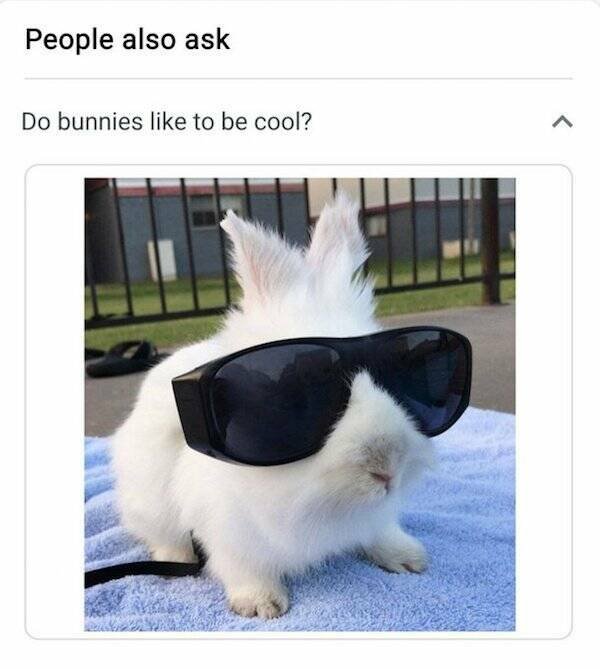 Funny Memes (45 pics)