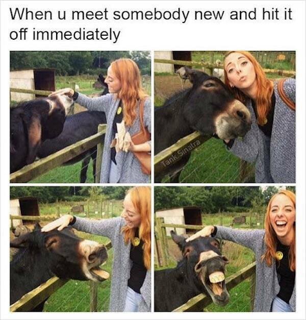 Funny Memes (45 pics)