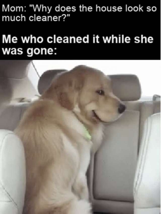 Funny Memes (45 pics)