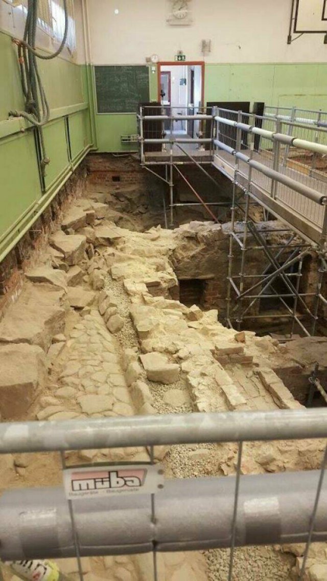Unexpected Finds (48 pics)