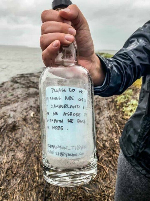 Unexpected Finds (48 pics)