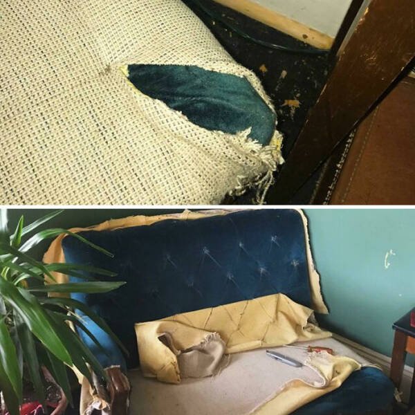 Unexpected Finds (48 pics)