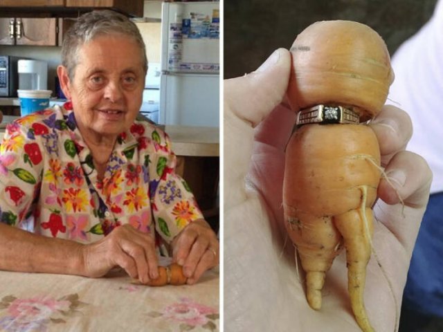 Unexpected Finds (48 pics)