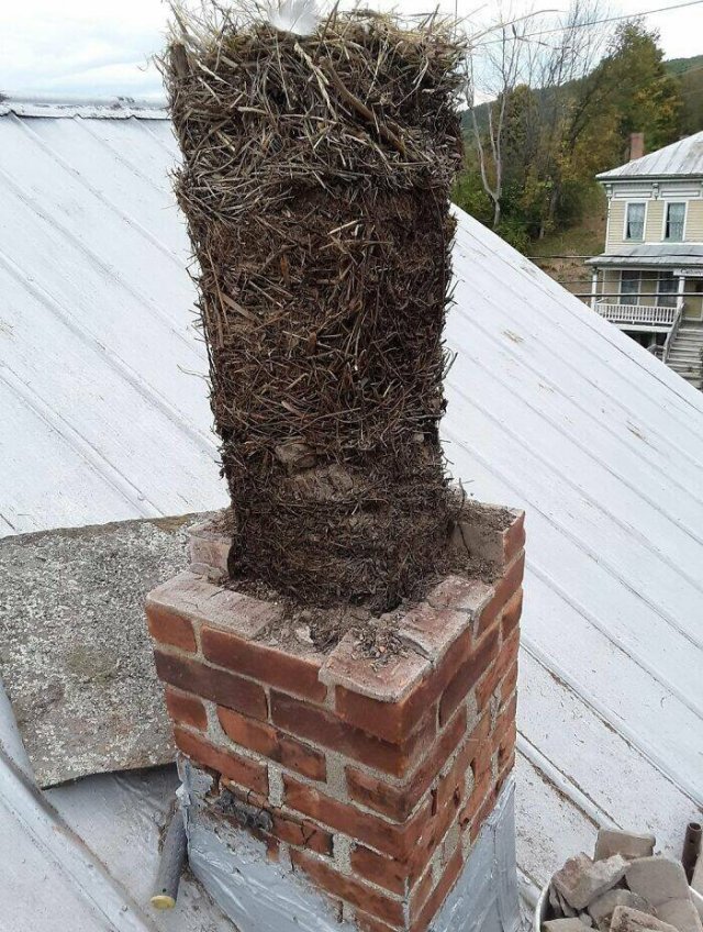Unexpected Finds (48 pics)