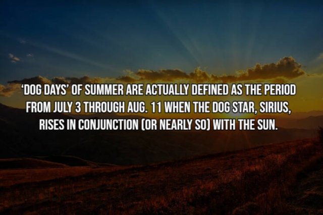 Random Facts (15 pics)