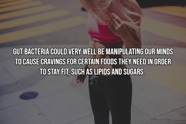 Interesting Facts (15 pics)