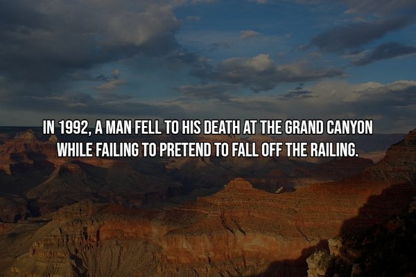Interesting Facts (15 pics)