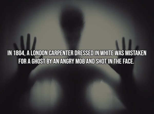 Interesting Facts (15 pics)