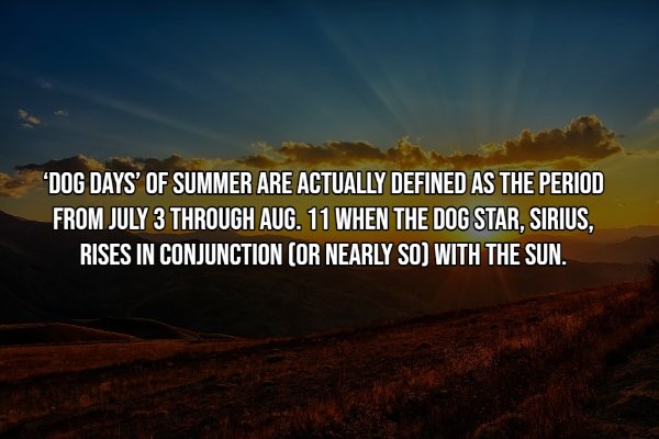 Interesting Facts (15 pics)