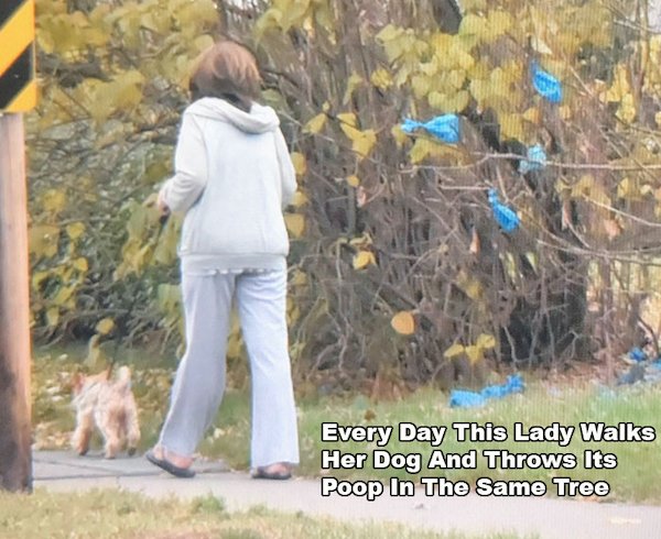 Funny And Annoying Situations (33 pics)