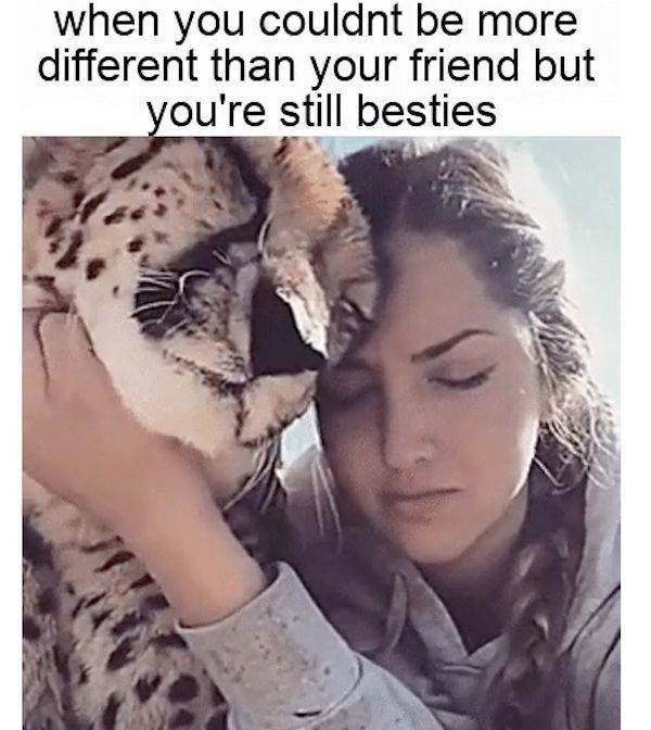 Funny Memes (25 pics)