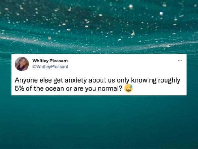 Are You Normal? (25 pics)
