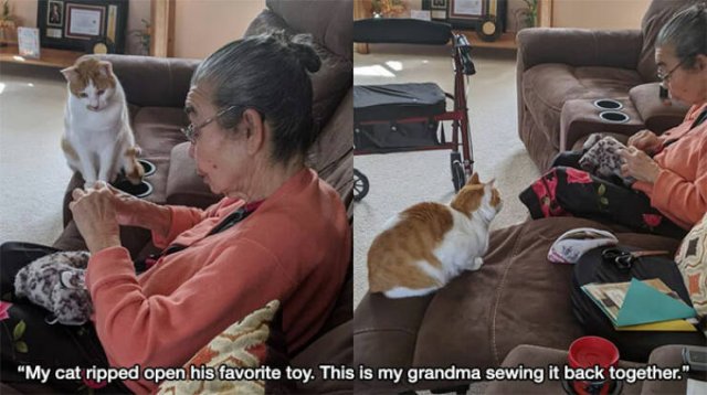 Life Is Beautiful (31 pics)