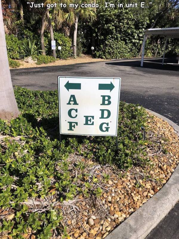 Funny Signs (34 pics)