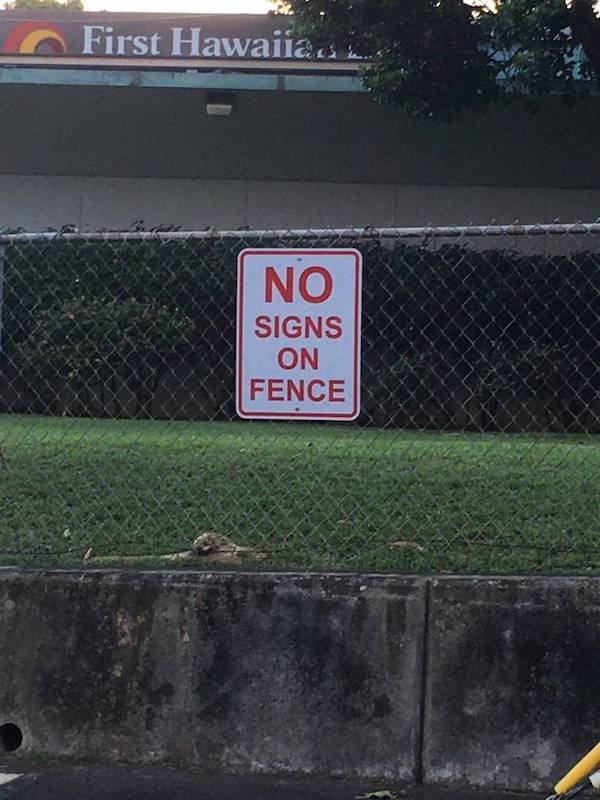 Funny Signs (34 pics)