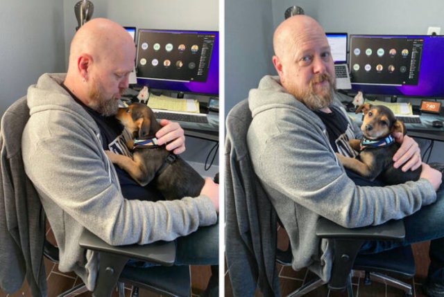 They Didn’t Want Any Pets (17 pics) They Didn’t Want Any Pets (17 pics)