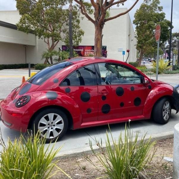Unusual Creative (21 pics)