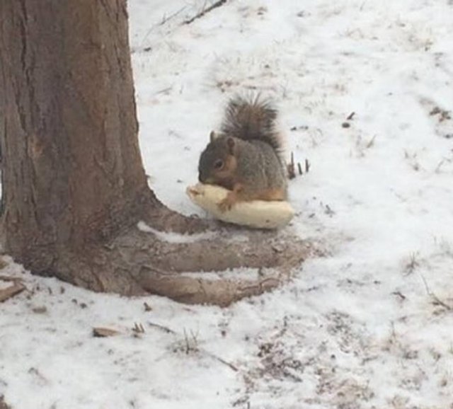 Funny Finds And Situations (36 pics) Funny Finds And Situations (36 pics)