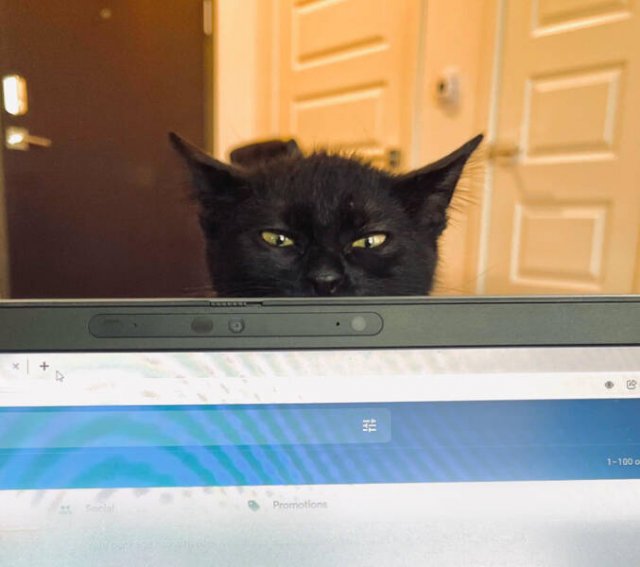 Funny Finds And Situations (36 pics) Funny Finds And Situations (36 pics)