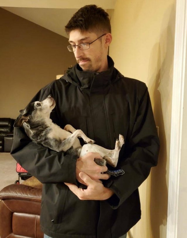 They Didn’t Want Any Pets (17 pics) They Didn’t Want Any Pets (17 pics)