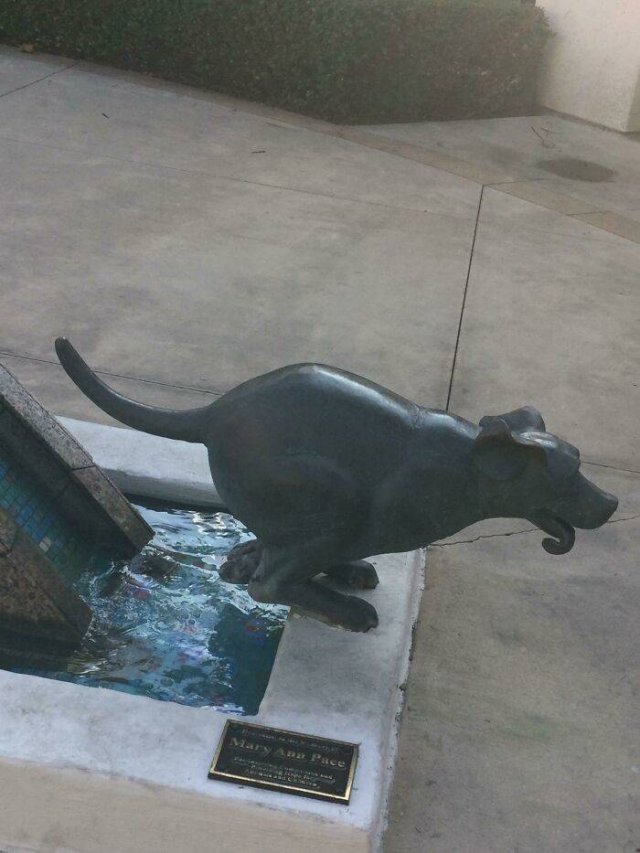 Weird Designs (24 pics)