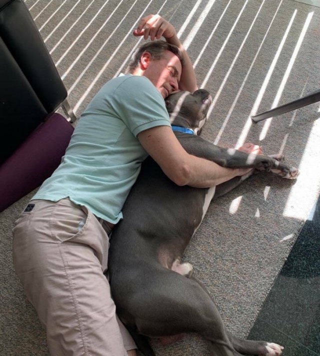 They Didn’t Want Any Pets (17 pics) They Didn’t Want Any Pets (17 pics)