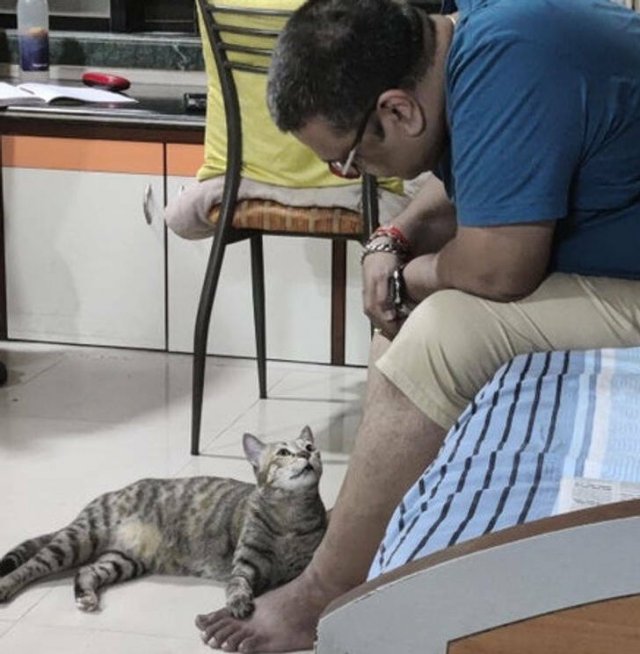 They Didn’t Want Any Pets (17 pics) They Didn’t Want Any Pets (17 pics)