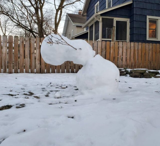 Funny Finds And Situations (36 pics) Funny Finds And Situations (36 pics)