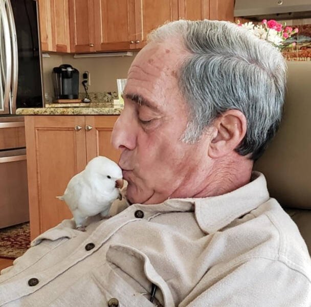 They Didn’t Want Any Pets (17 pics)
