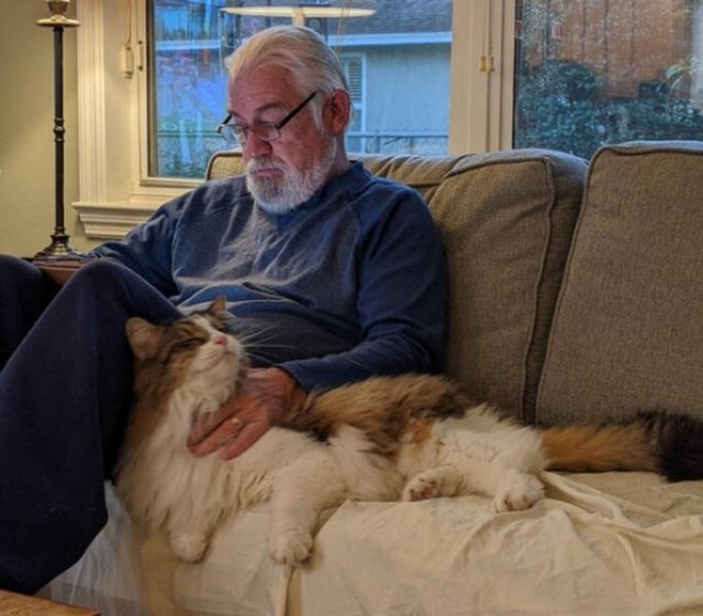 They Didn’t Want Any Pets (17 pics) They Didn’t Want Any Pets (17 pics)