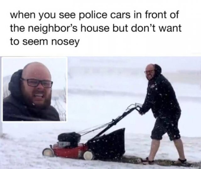 Random Memes (36 pics)