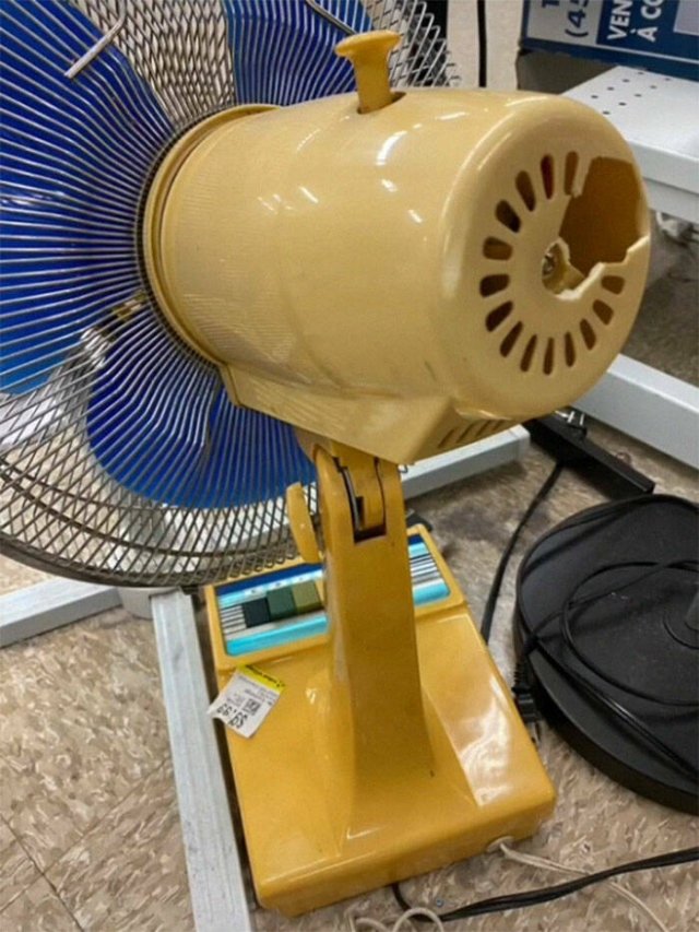 Expensive Items In A Thrift Store (31 pics)