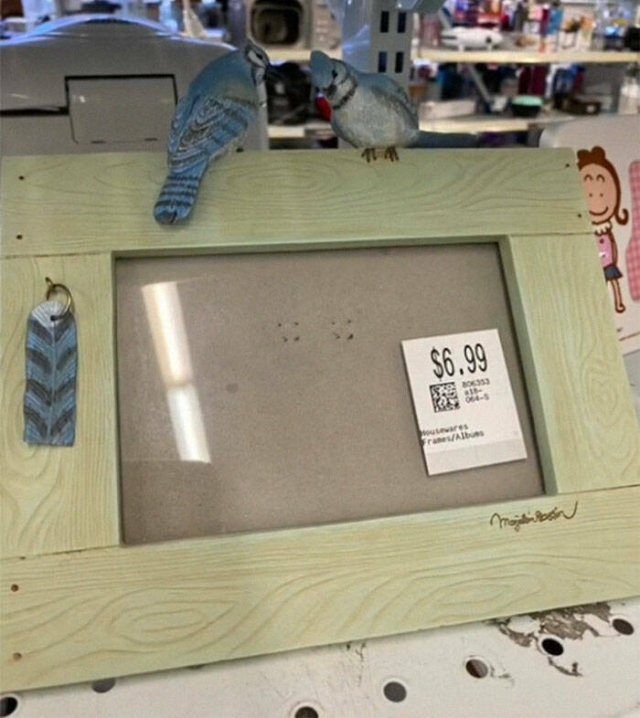 Expensive Items In A Thrift Store (31 pics)