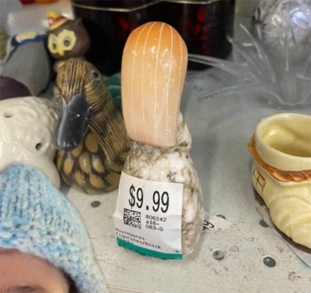 Expensive Items In A Thrift Store (31 pics)