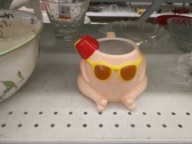 Funny Finds In Thrift Stores (45 pics)